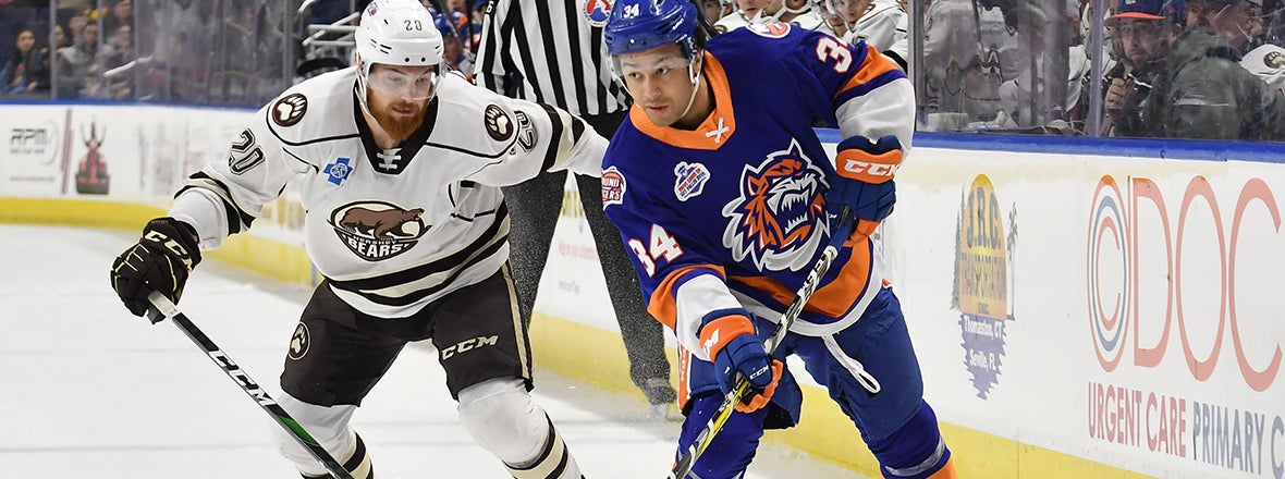 Sound Tigers Return From Break with 4-1 Loss