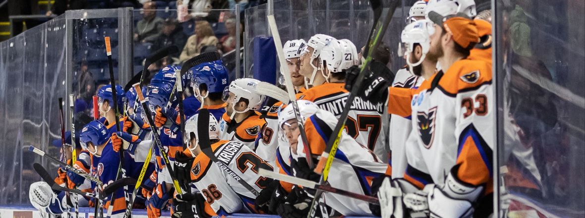 Sound Tigers Bench with Lehigh Valley - 1180x440