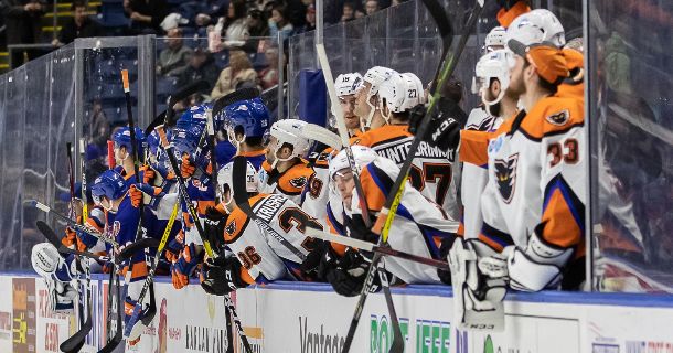 Sound Tigers Bench with Lehigh Valley -thumbnail
