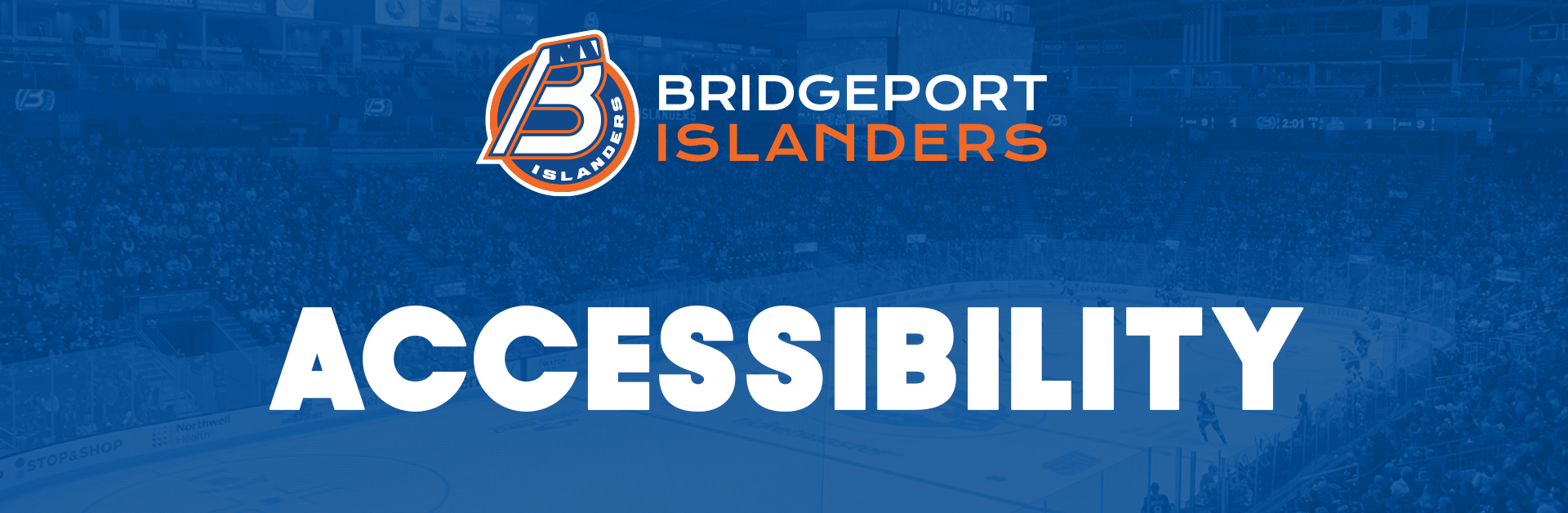 Accesibility Header.png