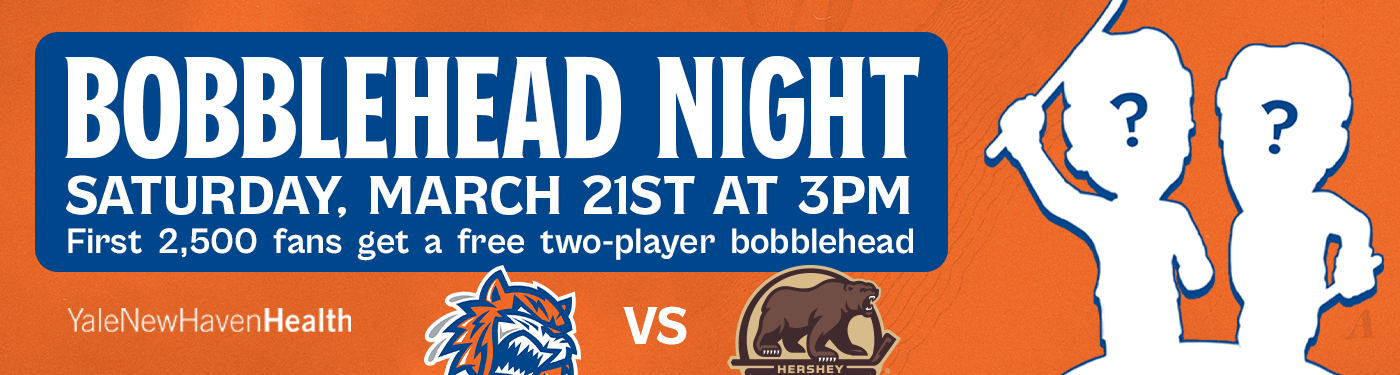 Bobblehead_Website-Banner (1).png