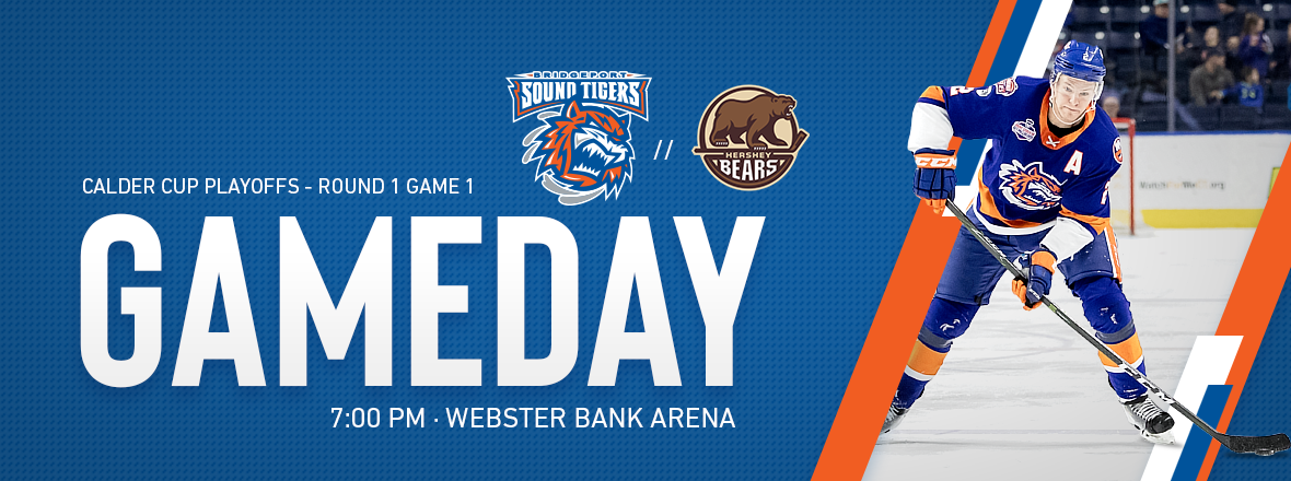 Sound Tigers Begin Playoff Journey Tonight