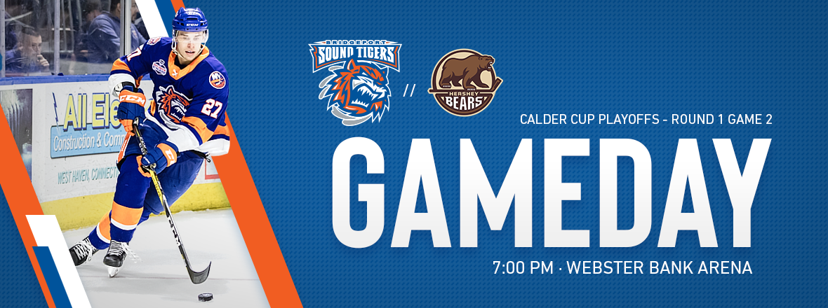 Sound Tigers Host Bears in Game 2 Tonight