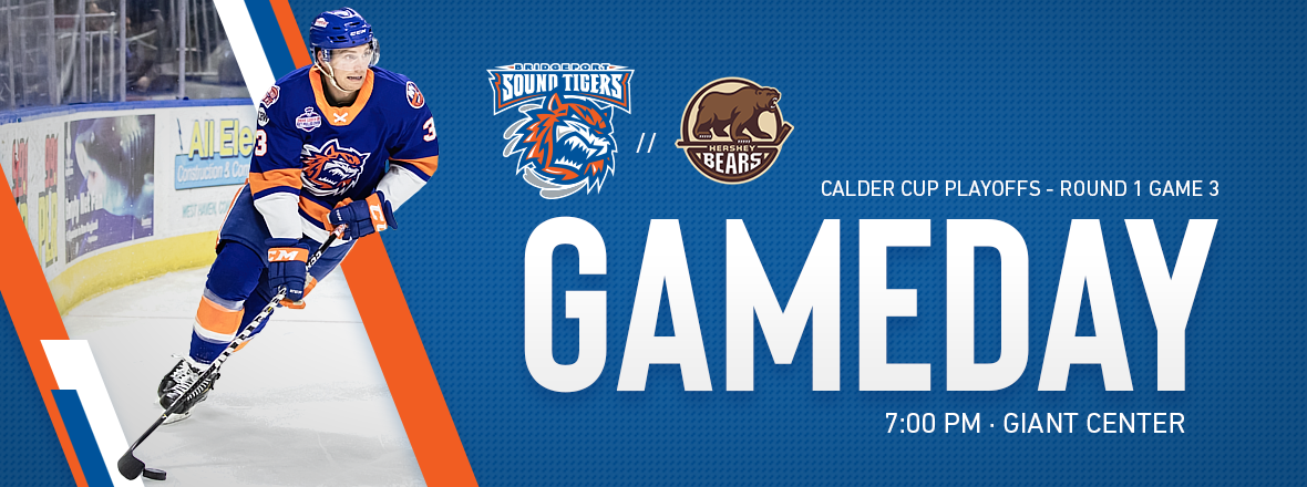 Sound Tigers Try to Regain Series Lead in Game 3