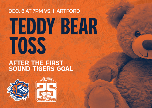 Teddy Bear Toss