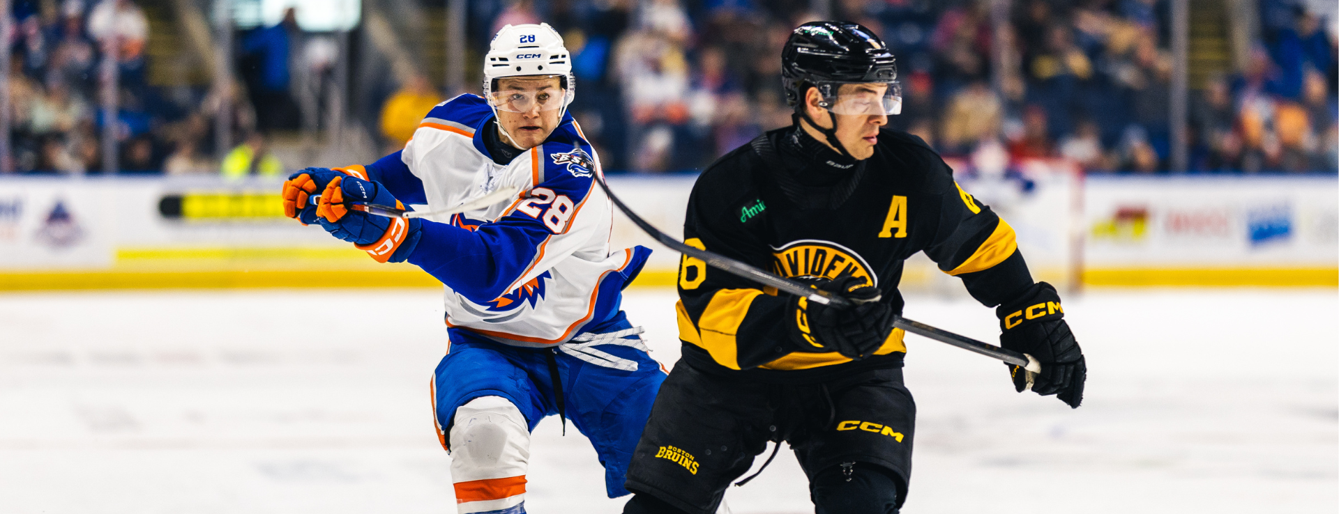 Islanders Earn Point in 4-3 Shootout Loss to Bruins