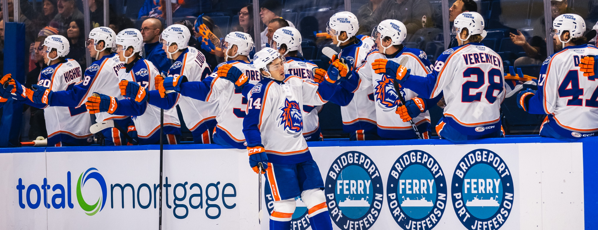 Bridgeport Gains Point in 3-2 Overtime Loss to Bruins