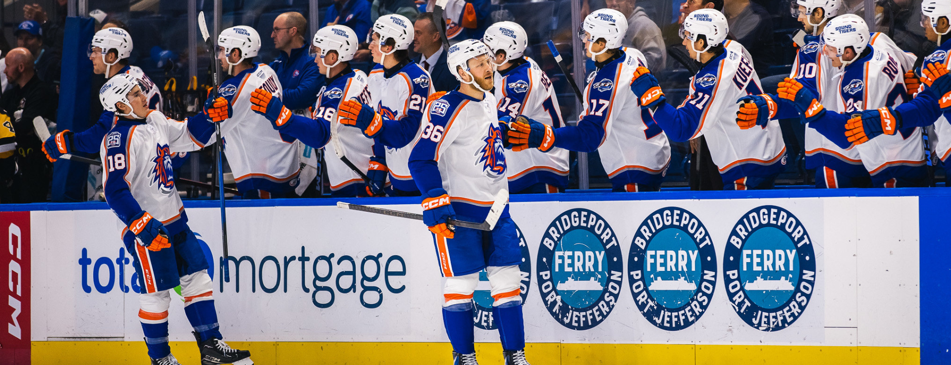 Bridgeport Islanders Weekly Update: