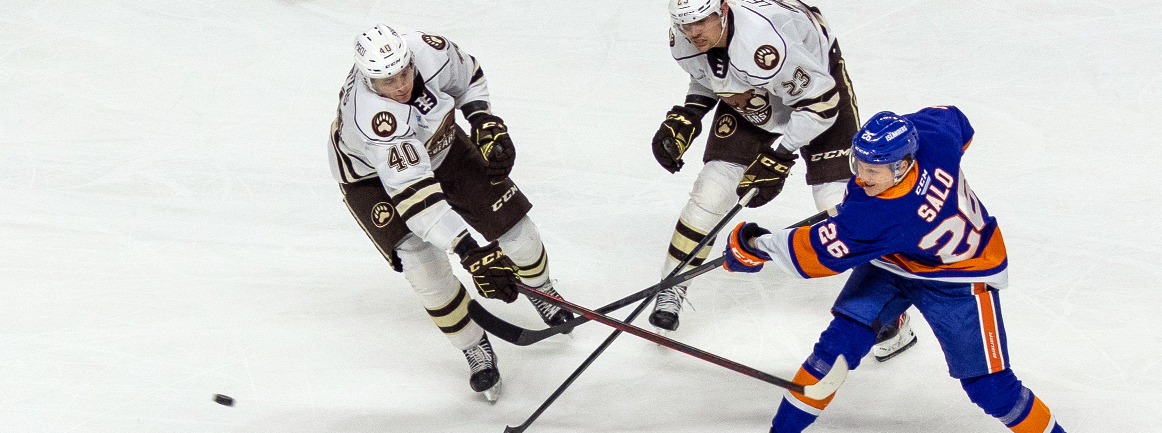 Recap: Bears 4, Islanders 3 (OT)