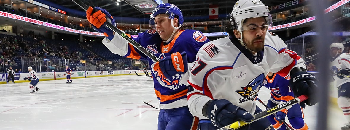 Sound Tigers Face T-Birds, Wolf Pack This Weekend