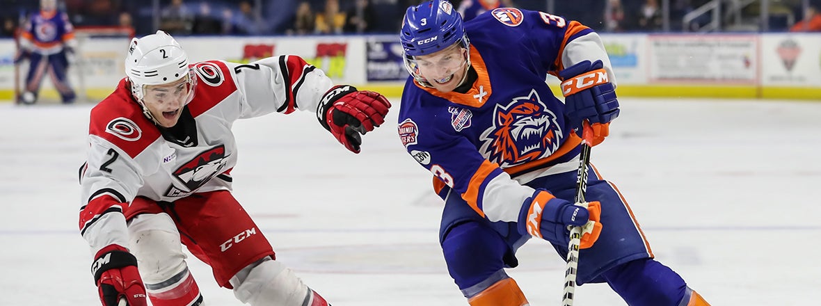 Sound Tigers Host Checkers, Bears This Weekend