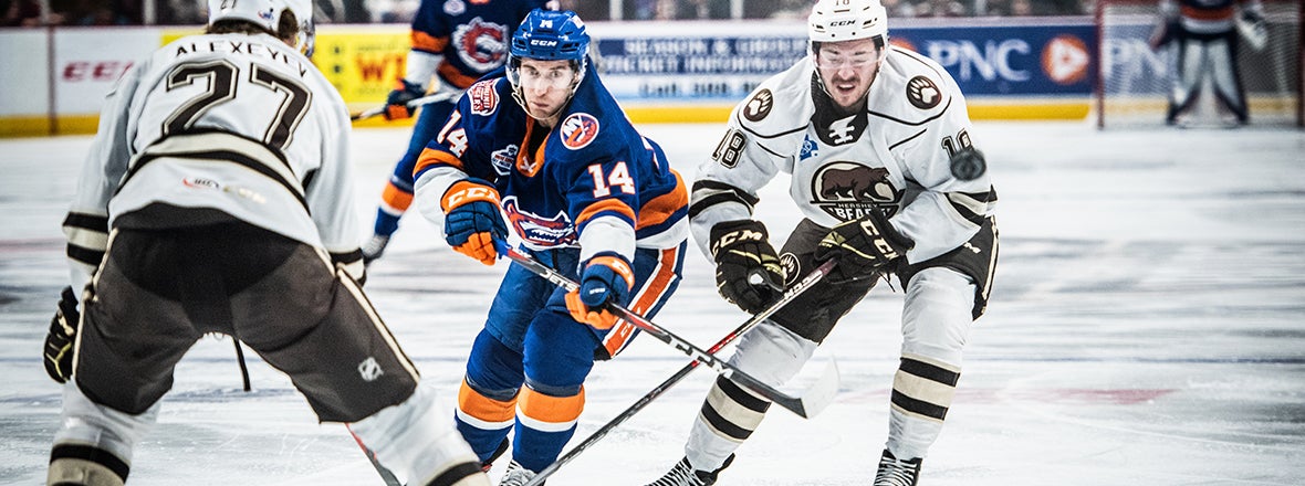 Sound Tigers Drop 5-2 Result in Hershey