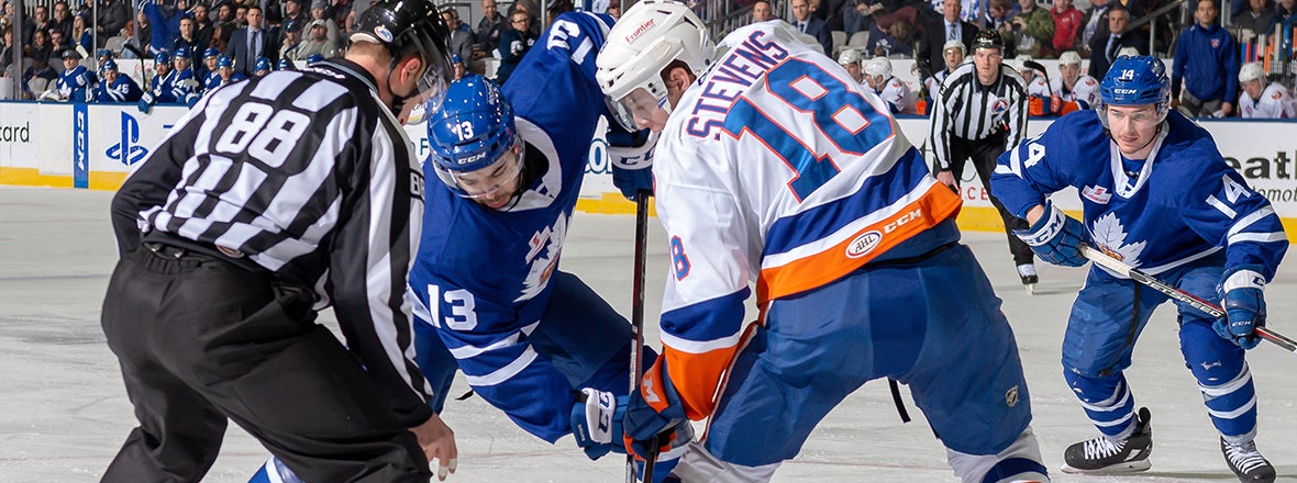 Sound Tigers Host Marlies Tonight at 7 p.m.