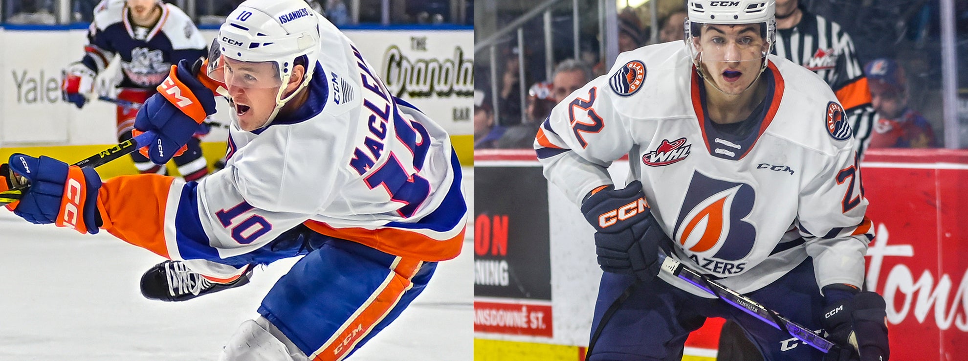 New York Islanders Sign MacLean and Kuefler