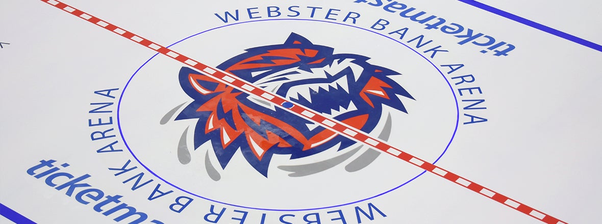 Sound Tigers and Bruins Reschedule May 8th Game