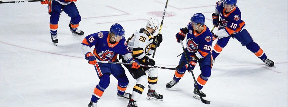 Sound Tigers Face Bruins for the Final Time in Marlborough