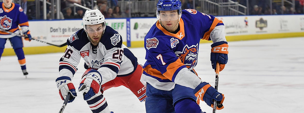 Sound Tigers and Wolf Pack Reignite Rivalry