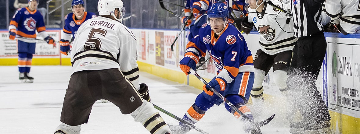 Sound Tigers Face Bears, T-Birds This Weekend