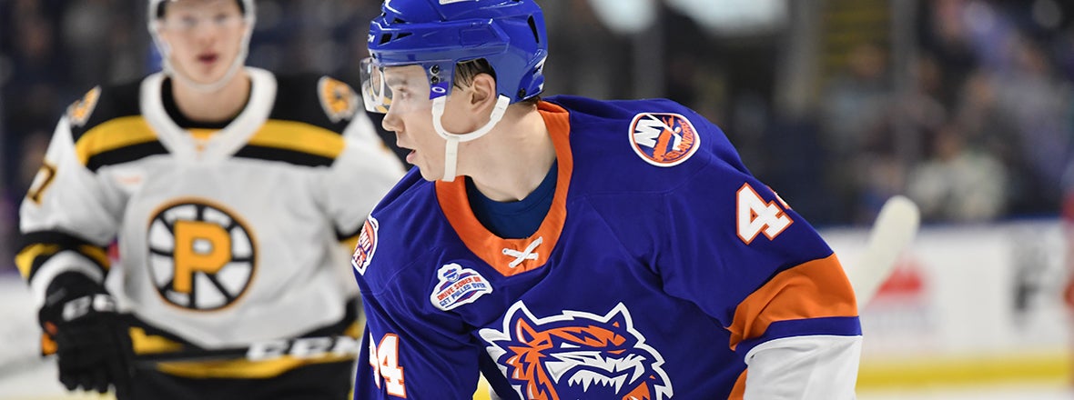 Sound Tigers Set For Round Seven with Providence