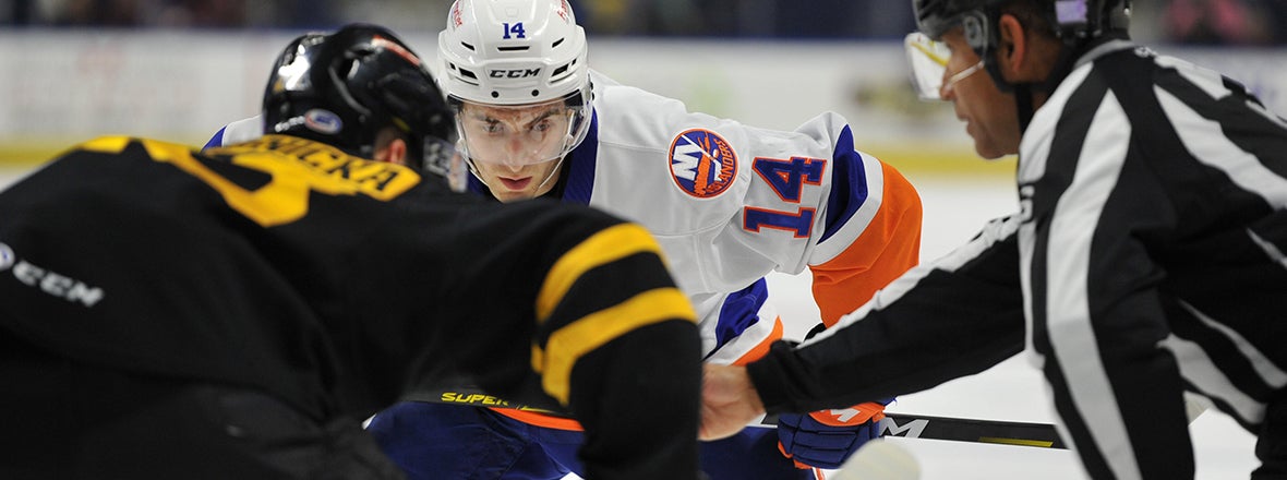 Sound Tigers Hungry for Points Against Bruins