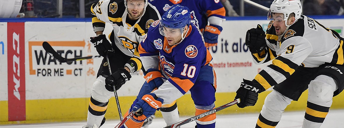 Sound Tigers Meet Bruins Twice This Weekend