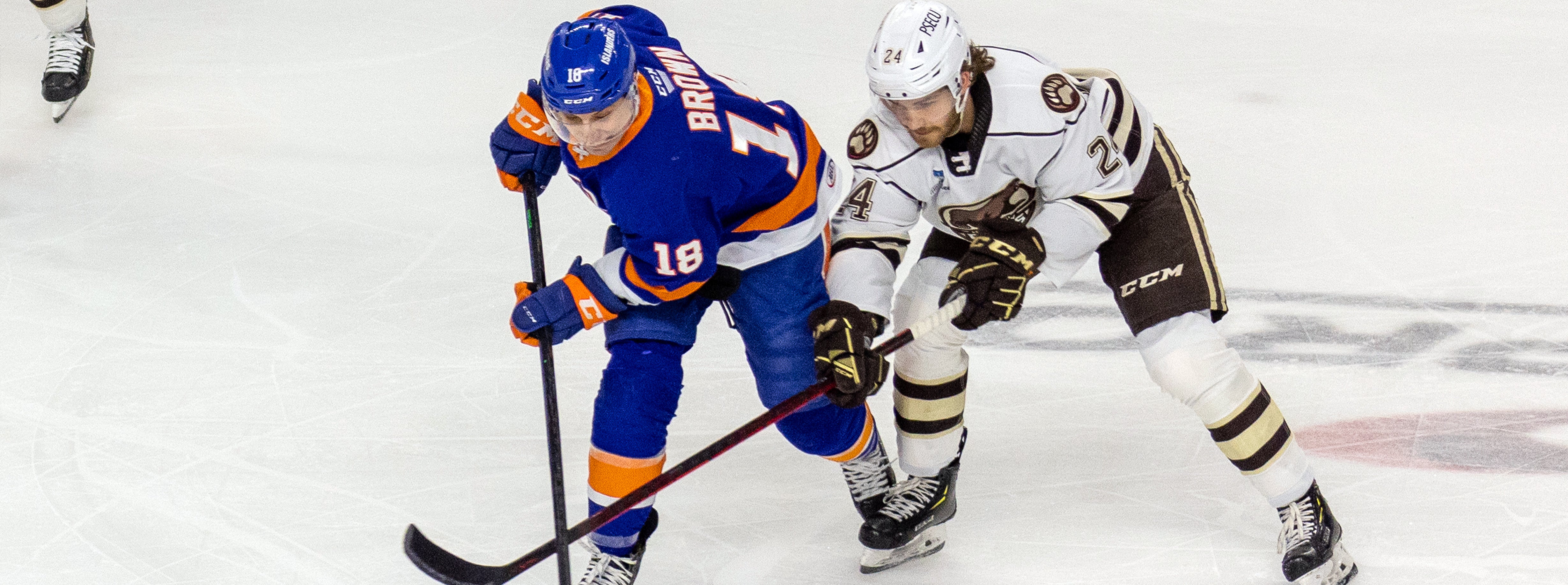 Recap: Bears 2, Islanders 1