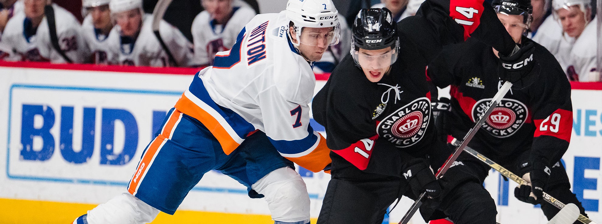 Recap: Checkers 7, Islanders 1