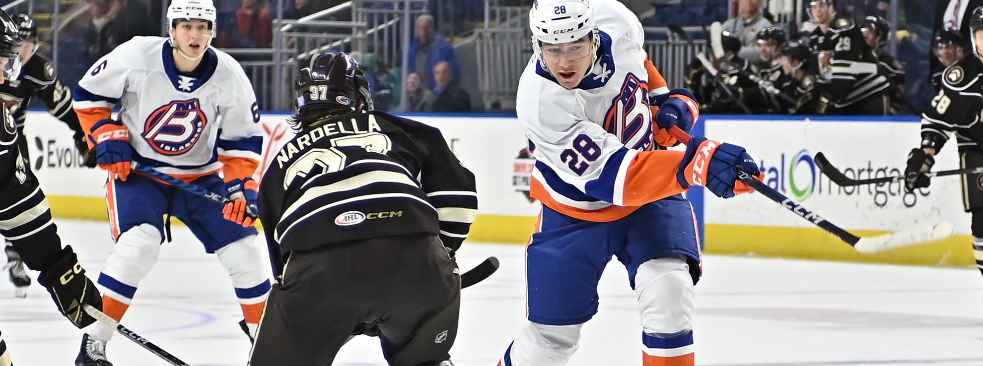 Recap: Bears 4, Islanders 2