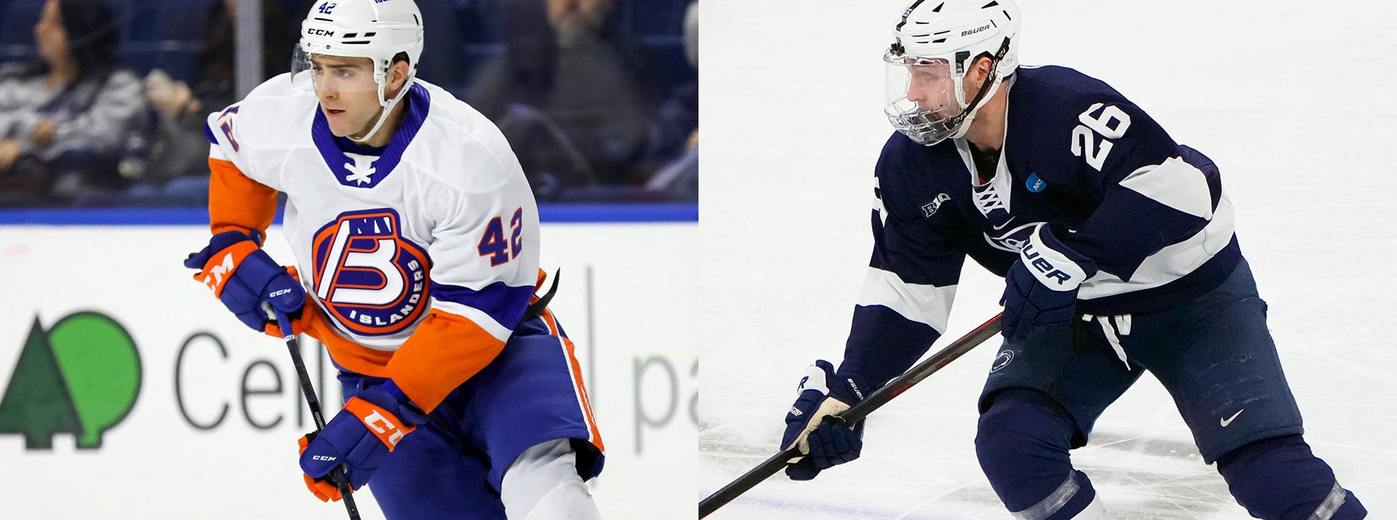 Bridgeport Islanders Sign Cosgrove, Calder