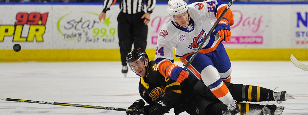 Sound Tigers Stumble in 4-0 Loss To Bruins