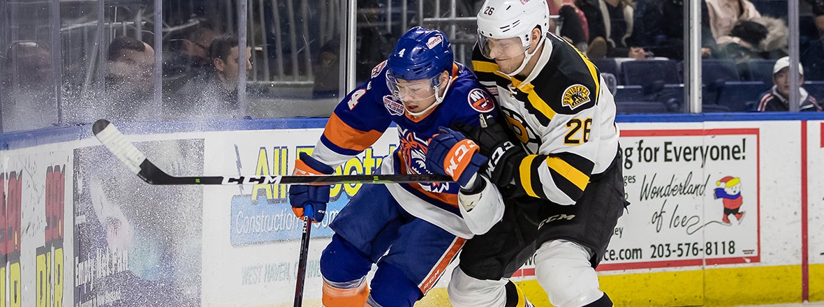 Sound Tigers Face Bruins in Home-and-Home