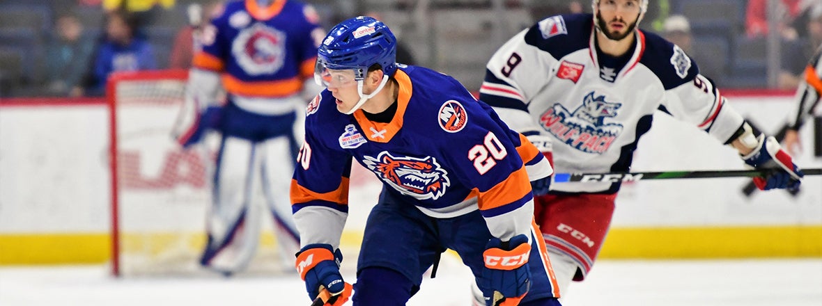 Sound Tigers Face Hartford in Final Game of 2019